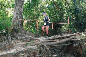 BIB: 
                            <button type="button" onclick="openModal(27744652)" class="btn btn-primary btn-sm float-right btn-popup" data-toggle="modal" data-target=".modal-high-quality">
                        <i class="fas fa-shopping-cart"></i> Add to Cart
                    </button>
                                            <button type="button" onclick="isThisMe(27744652, true)" class="btn btn-success btn-sm float-right btn-popup btn-isme hidden" data-toggle="tooltip" data-placement="bottom" title="นี่คือรูปของคุณใช่ไหม คลิกที่นี่เพื่อเอาเข้าอัลบั้ม">
                        <i class="fas fa-plus"></i> Add to album
                    </button>
                    <button type="button" onclick="isThisMe(27744652, false)" class="btn btn-warning btn-sm float-right btn-popup btn-isnotme hidden">
                        <i class="fas fa-ban"></i> Remove from album
                    </button>